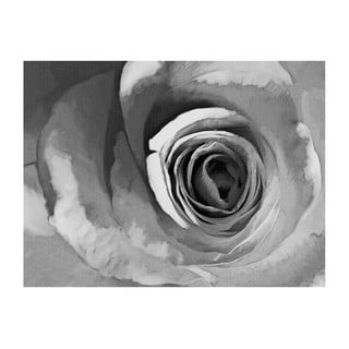 Tapeta wielkoformatowa Artgeist Paper Rose, 400x309 cm