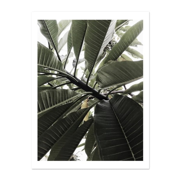 Plakat HF Living Botanic Greenery, 30x40 cm