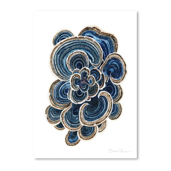 Plakat Americanflat Blue Trametes Mushroom by Shealeen Louise, 30x42 cm