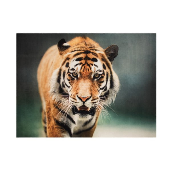 Dywan Hanse Home Tiger, 190x140 cm
