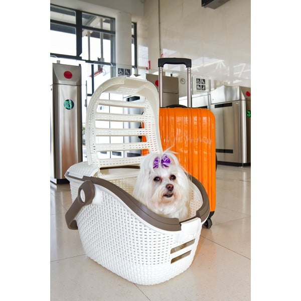 Biały transporter dla zwierząt Curver Vintage-image-1