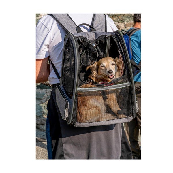 Torba transportowa dla czworonoga 27x33 cm – Love Story-image-1