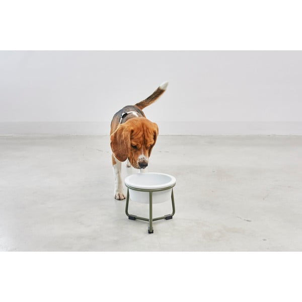 Porcelanowa miska ze stojakiem dla psów ø 20 cm Pranzo Grolive M – MiaCara-image-2