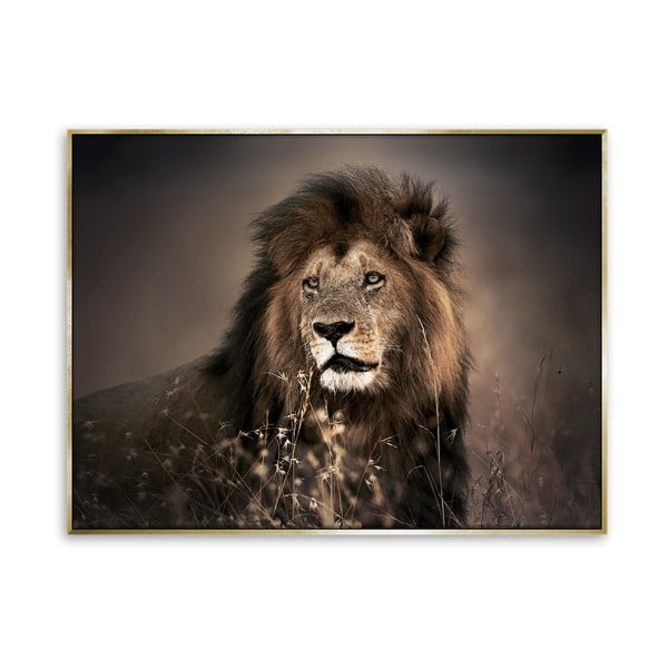 Obraz lva na płótnie Styler Golden Lion, 62x82 cm