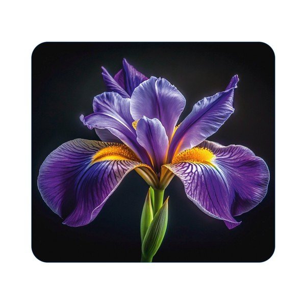 Płyta ochronna na ścianę przy kuchence ze szkła hartowanego 50x56 cm Abdeckplatte  – Wenko