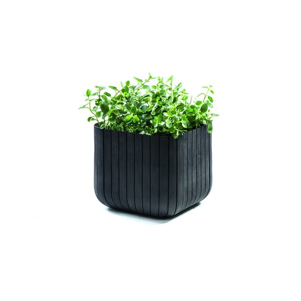 Plastikowa doniczka Cube – Keter-image-2