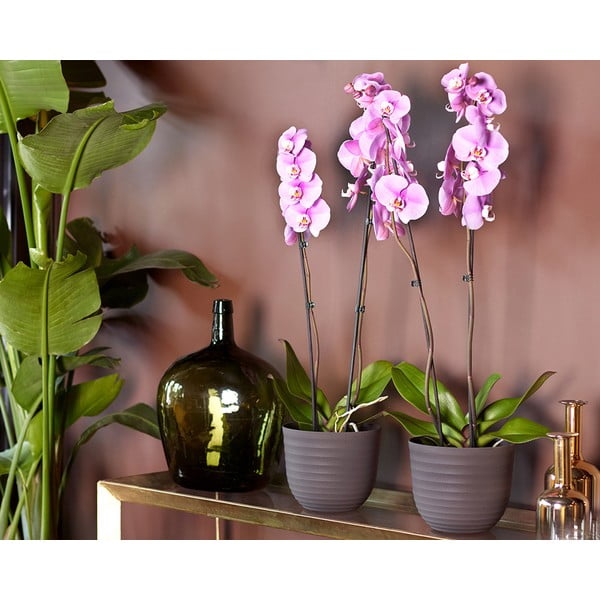 Doniczka z plastiku z recyklingu ø 20 cm Havana – Artevasi-image-2