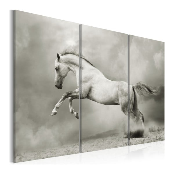 Wieloczęściowy obraz na płótnie Bimago Horse Motion, 80x120 cm