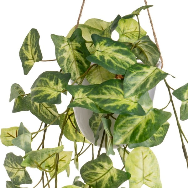 Sztuczne rośliny zestaw 2 szt. (wysokość 55 cm) – Casa Selección-image-3