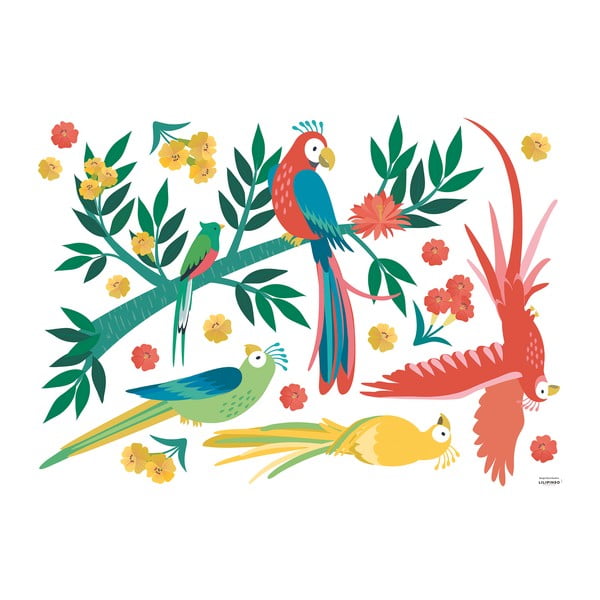 Naklejki dziecięce 90x64 cm Parrots – Lilipinso