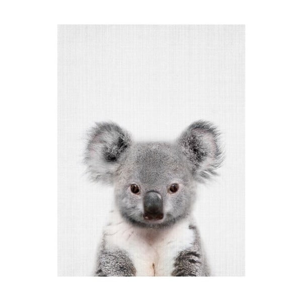 Plakat Blue-Shaker Baby Animals Koala, 30x40 cm