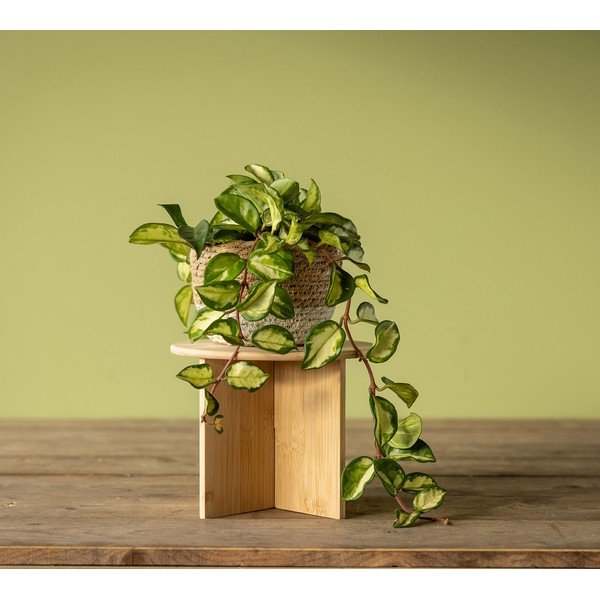 Bambusowy kwietnik ø 25 cm (wysokość 19,5 cm) – Esschert Design-image-1