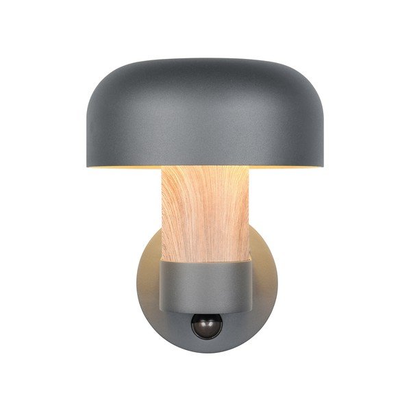 Zewnętrzna lampa ścienna (wysokość 24,5 cm) Fraser – Trio