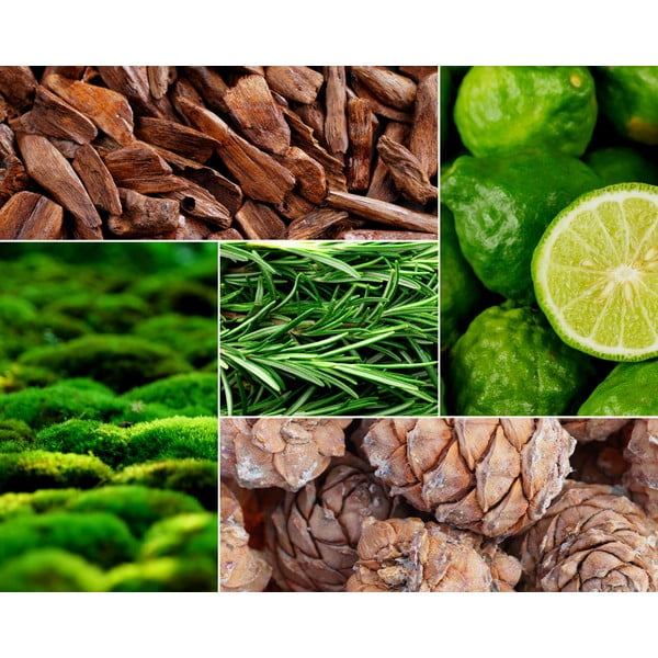 Zapachowa sojowa świeca czas palenia 60 h Tobacco&Leather/Oud&Bergamote – Privé Home-image-1