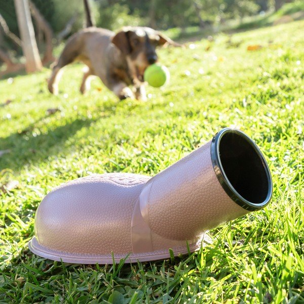 Wyrzutnia piłek dla piesków InnovaGoods Playdog-image-2