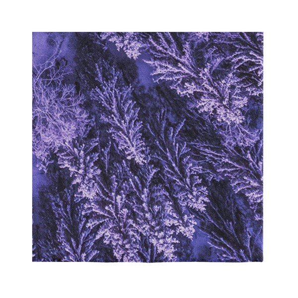 Fioletowy dywan Oyo home Suzzo Flower, 140x220 cm-image-3