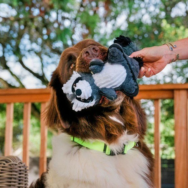 Zabawka dla psa Szop – P.L.A.Y.-image-1