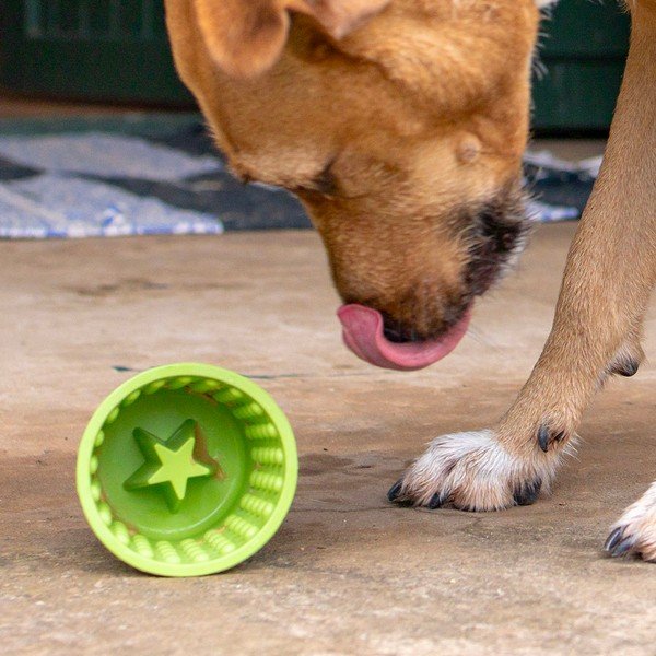 Miska do lizania Yoggie Pot Green – LickiMat-image-1