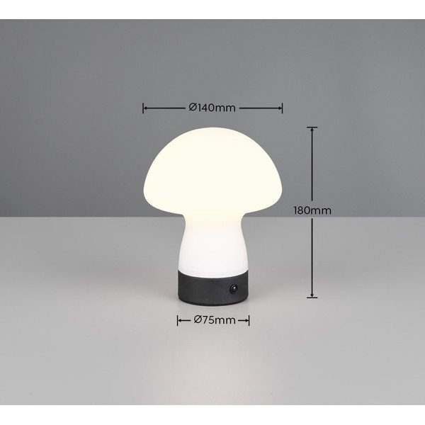 Lampa stołowa LED w matowym białym kolorze ze szklanym kloszem (wysokość 18 cm) Dooley – Reality-image-4