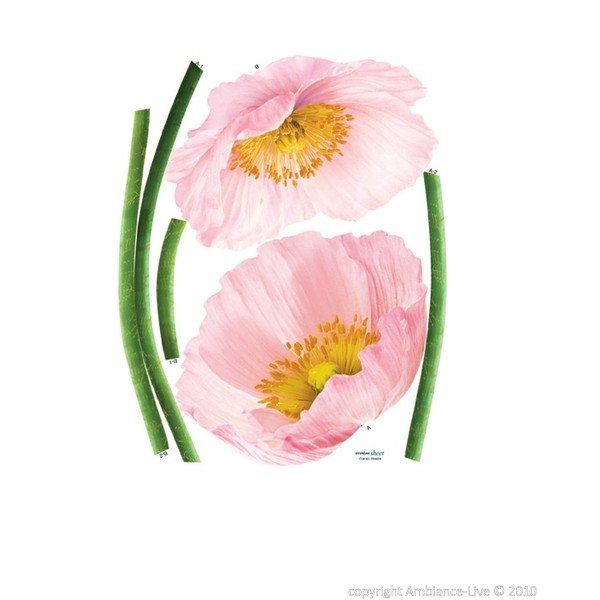 Naklejka Pink Poppy Flowers-image-1