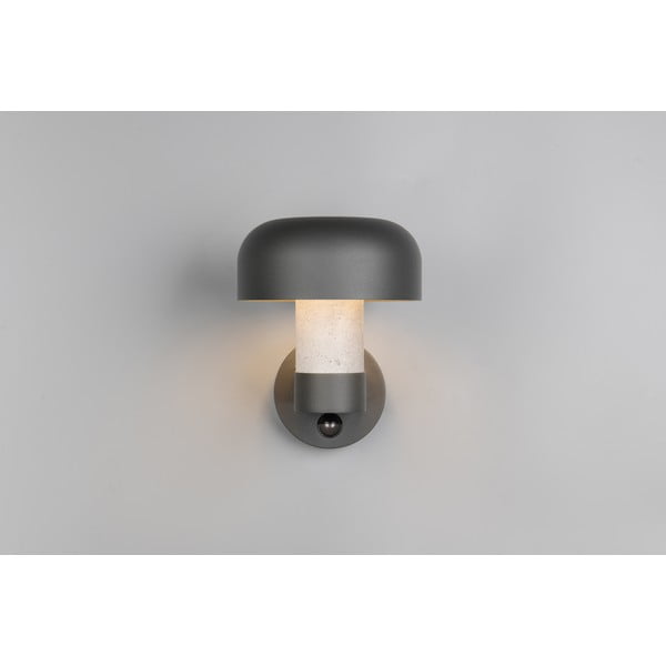 Zewnętrzna lampa ścienna (wysokość 24,5 cm) Fraser – Trio-image-2