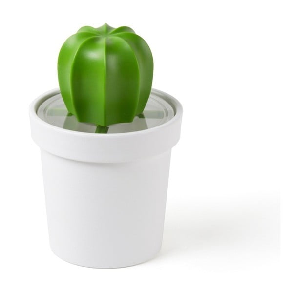 Biało-zielony pojemnik w kształcie kaktusa Qually&CO Cacnister