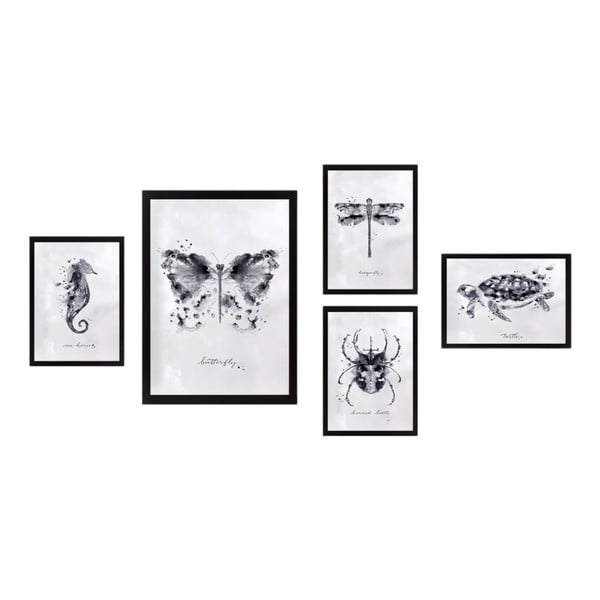 Obrazy zestaw 5 szt. Butterfly – Wallity