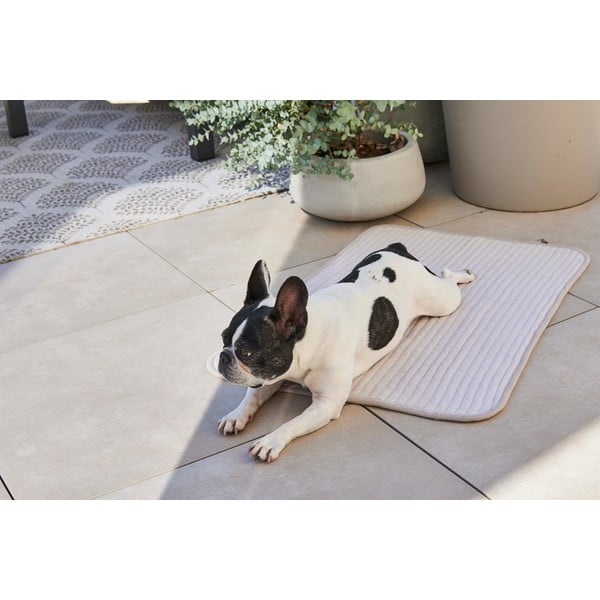 Szary bawełniany koc dla psów 90x120 cm Onda Pebble L – MiaCara-image-3