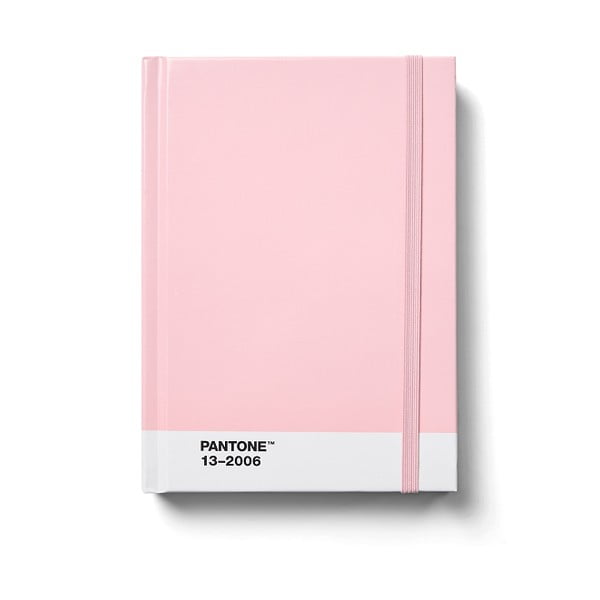 Notes Light pink 13-2006 – Pantone
