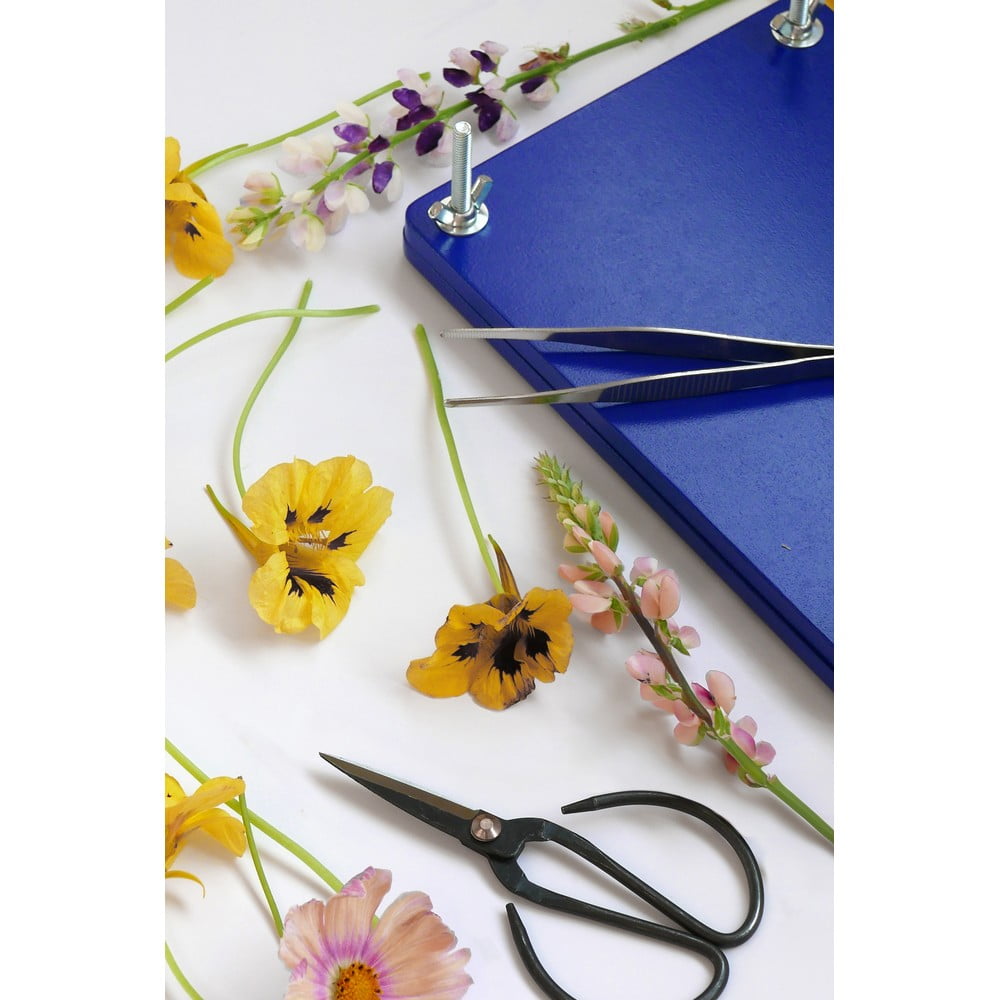 Akcesoria artystyczne Flower Press Kit – Printworks (zdjęcie 11)