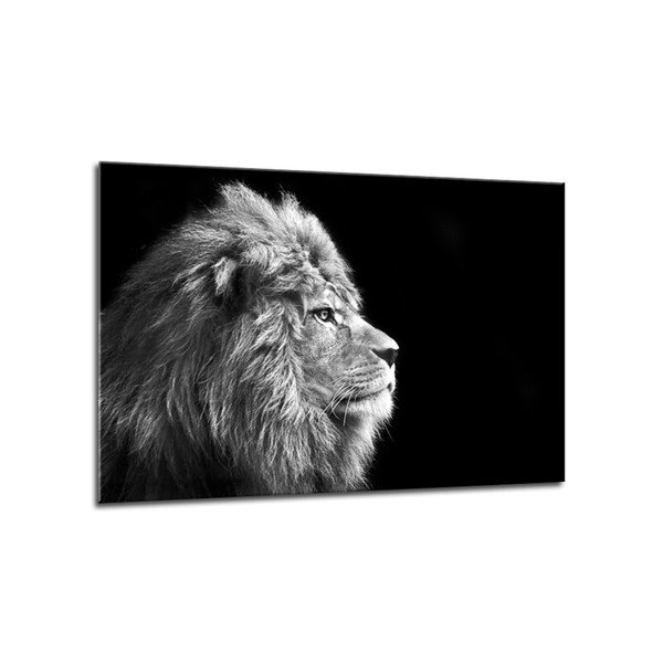 Obraz Styler Glasspik Canvas Animals Lion, 70x100 cm