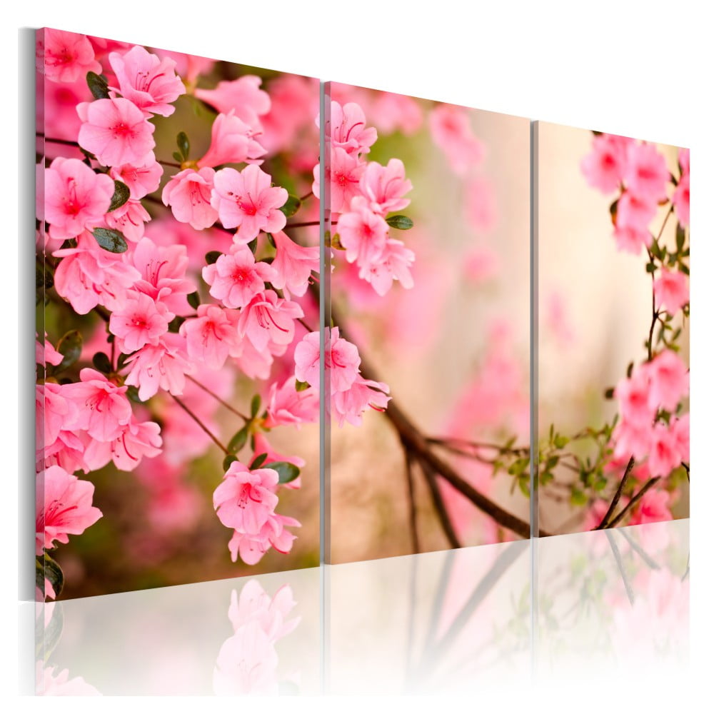 Obraz na płótnie Bimago Cherry Flower, 120x80 cm