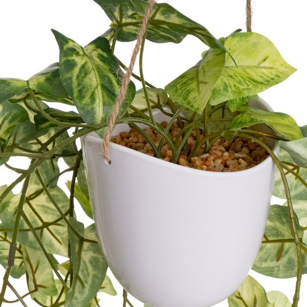 Sztuczne rośliny zestaw 2 szt. (wysokość 55 cm) – Casa Selección-image-2