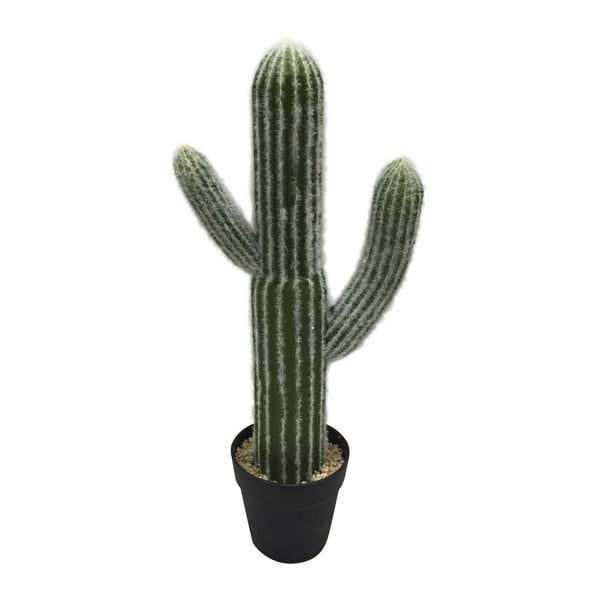 Kaktus dekoracyjny HouseVitamin® Party of the Plants, wysokość 57 cm