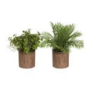Sztuczne rośliny zestaw 2 szt. (wysokość 22 cm) – Casa Selección