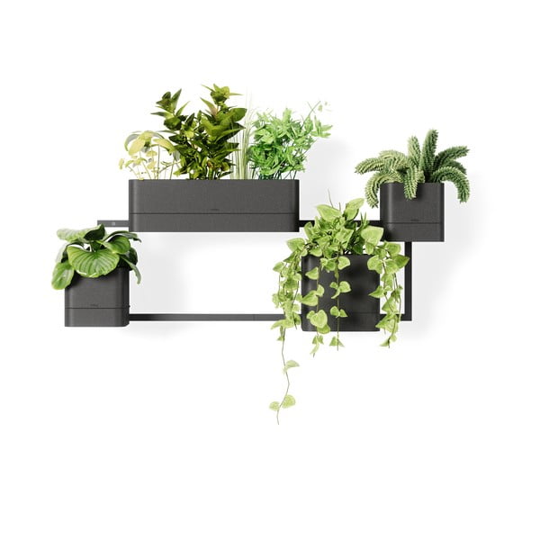 Plastikowe doniczki wiszące na zioła zestaw 4 szt. Cubiko – Umbra