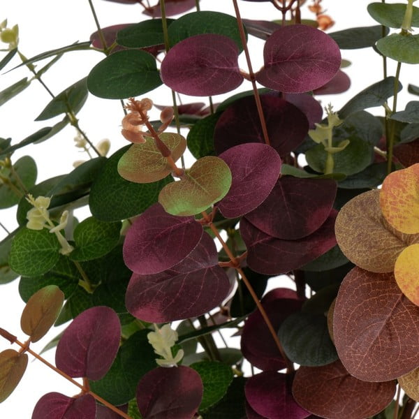 Sztuczny eukaliptus 4 szt. (wysokość 85 cm) – Casa Selección-image-4