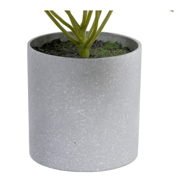 Sztuczna roślina (wysokość 21 cm) Syngonium – Ixia-image-1