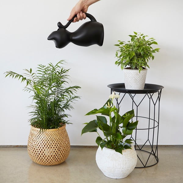 Plastikowa konewka 2 l Meow – Balvi-image-2