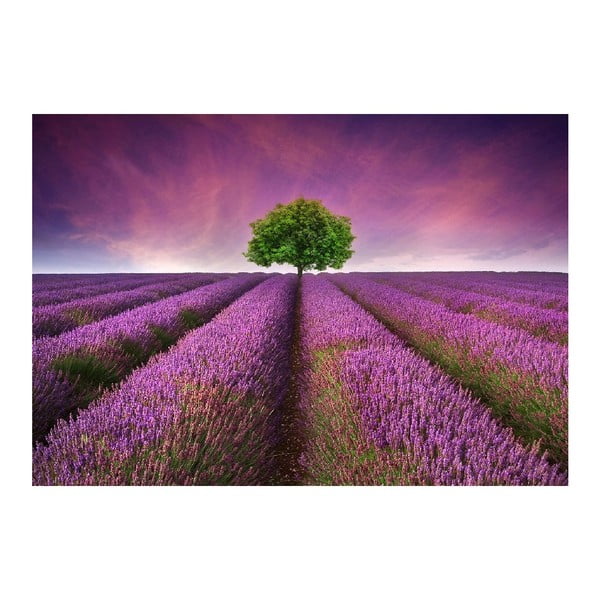 Dywanik winylowy Lavender Field, 52x75 cm