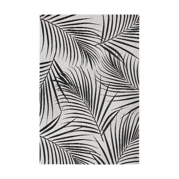 Czarno-szary dywan odpowiedni na zewnątrz Ragami Flora, 200x290 cm
