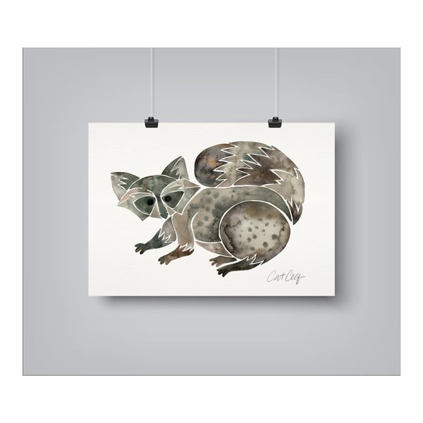 Plakat Americanflat Raccoon by Cat Coquillette, 30x42 cm