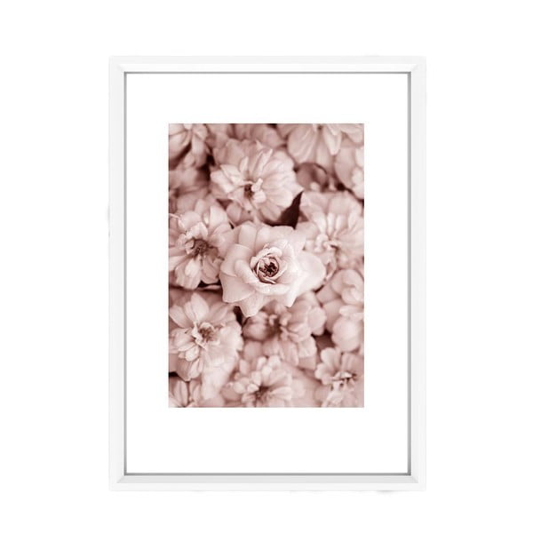 Obraz Piacenza Art Roses In Rosé, 30x20 cm