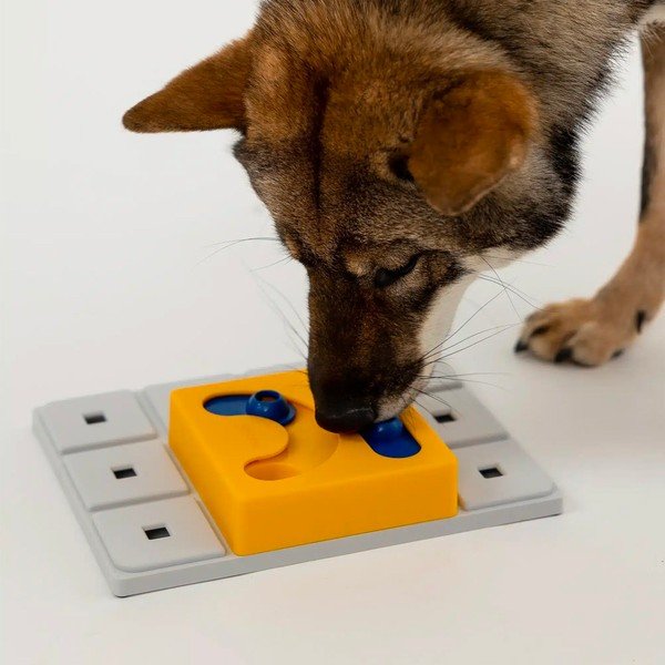 Łamigłówka dla psów Kaya – Pawzler-image-2