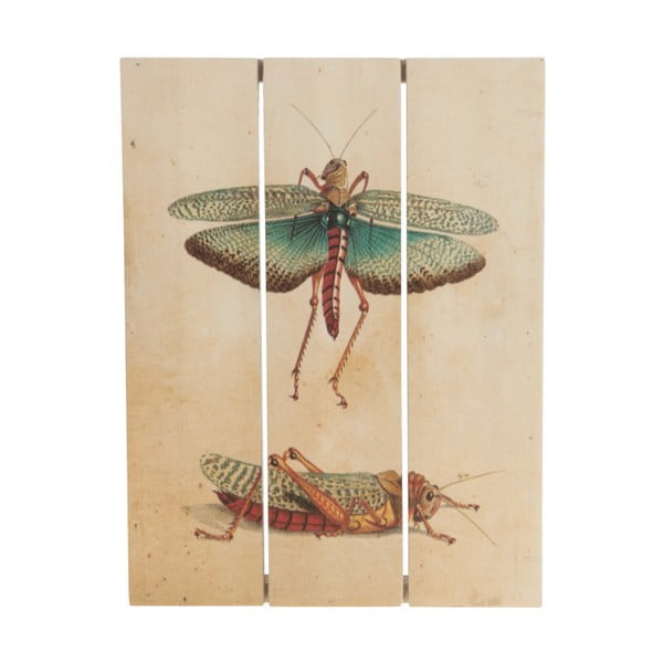 Drewniany obraz Dijk Natural Collections Grasshopper, 19x25 cm