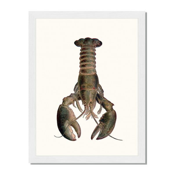Obraz w ramie Liv Corday Asian Lobster, 30x40 cm