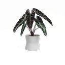 Ceramiczna doniczka ø 14 cm Diana – Artevasi