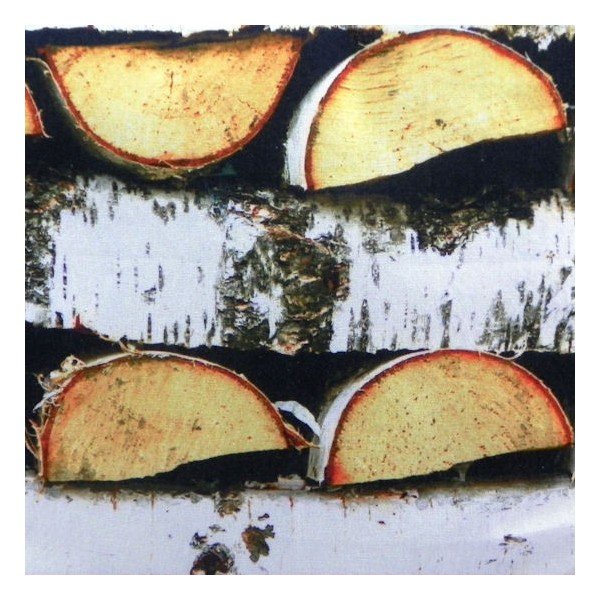 Poduszka Birch 50x50 cm-image-1