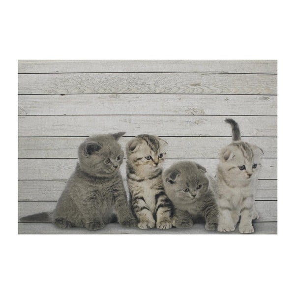 Dywanik Mars&More British Kittens, 75x50  cm