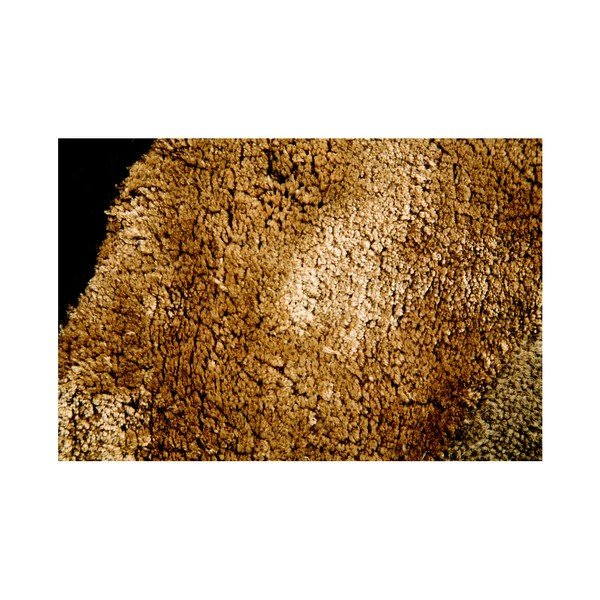 Dywan Flair Rugs Botanical Saria, 90x150 cm-image-4